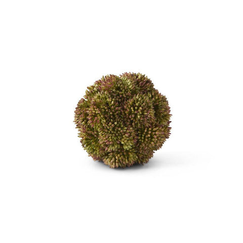 Sedum Ball Dark Green - 4in