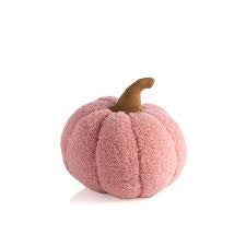 Sherpa Pumpkin - Pink