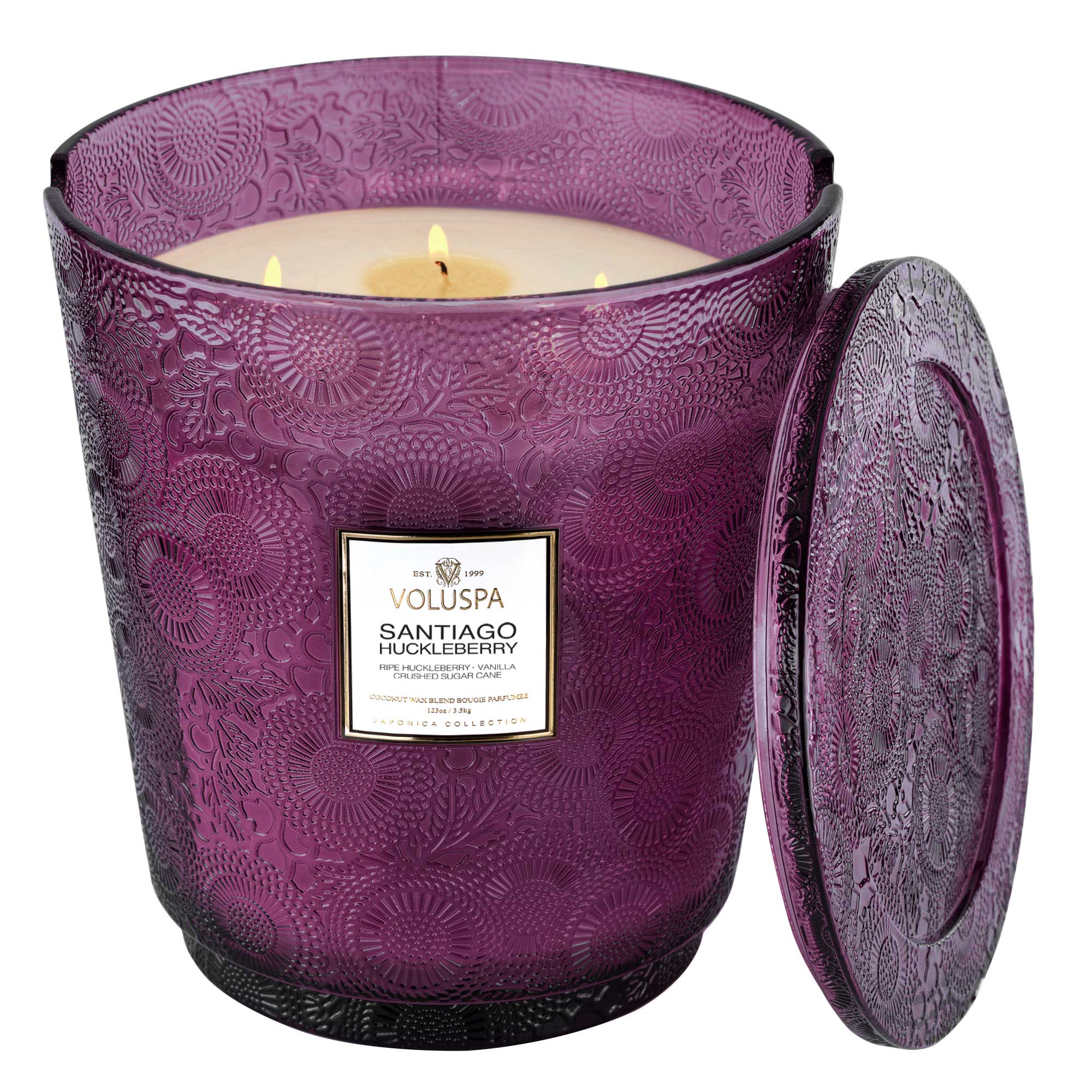 Santiago Huckleberry 5 Wick Hearth Candle